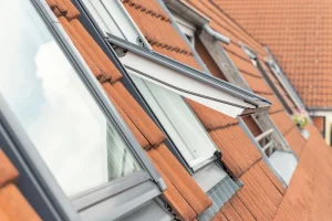 roof with rooflights
