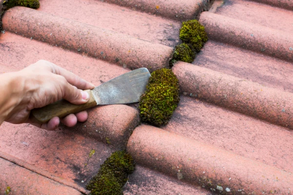 roof cleaning