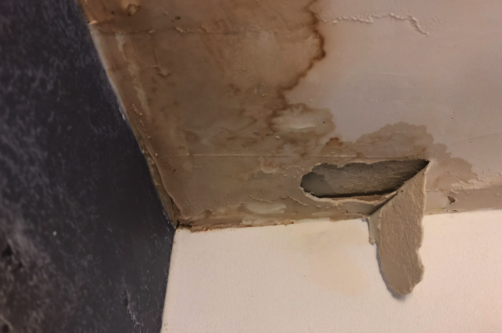 Roof Leak Repair Near Me: How We Help Fix Every Pitched Roof Problem
