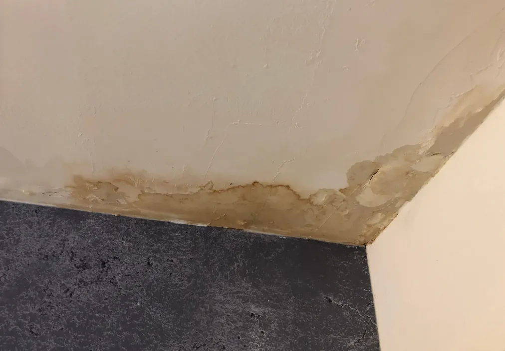 Leaking Ceiling? You Need A Trusted Roofing Company